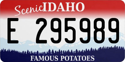 ID license plate E295989
