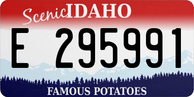 ID license plate E295991