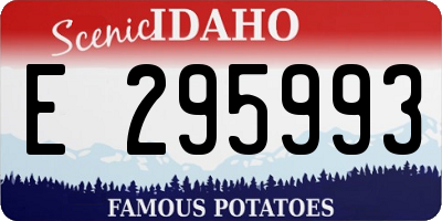 ID license plate E295993