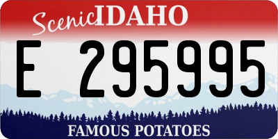 ID license plate E295995