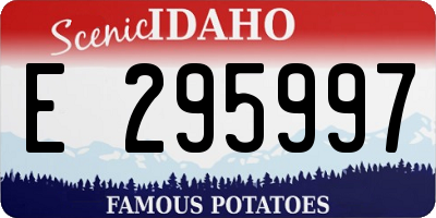 ID license plate E295997