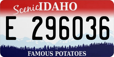 ID license plate E296036