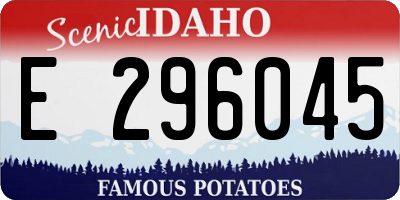 ID license plate E296045