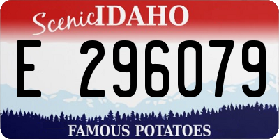 ID license plate E296079
