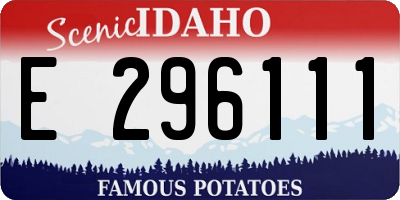 ID license plate E296111