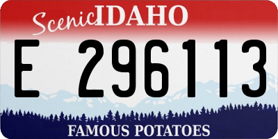 ID license plate E296113