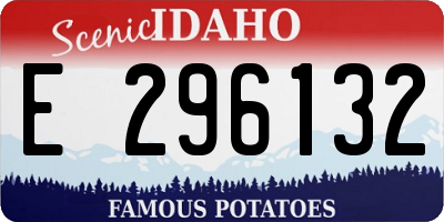 ID license plate E296132