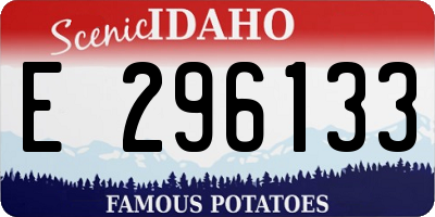 ID license plate E296133