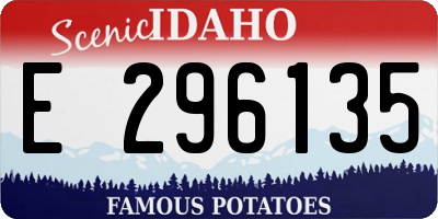 ID license plate E296135