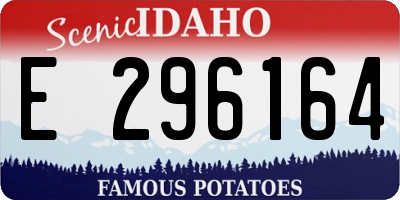 ID license plate E296164