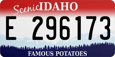 ID license plate E296173