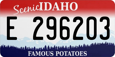 ID license plate E296203