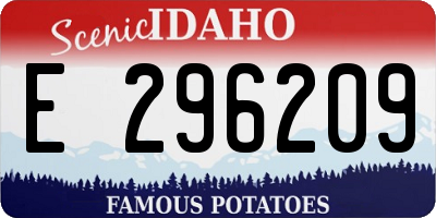ID license plate E296209
