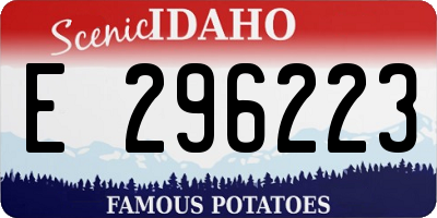 ID license plate E296223