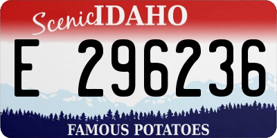 ID license plate E296236