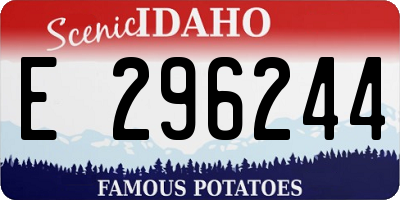 ID license plate E296244