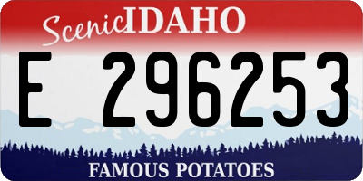 ID license plate E296253