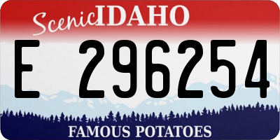 ID license plate E296254