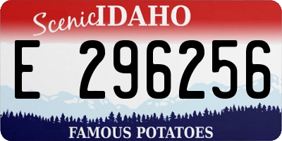 ID license plate E296256