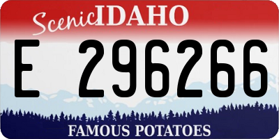 ID license plate E296266