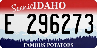 ID license plate E296273