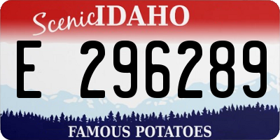 ID license plate E296289