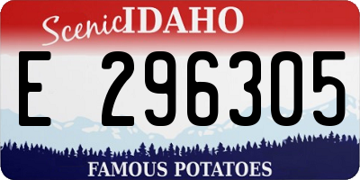 ID license plate E296305