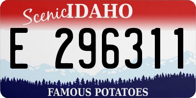 ID license plate E296311
