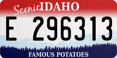 ID license plate E296313