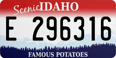 ID license plate E296316