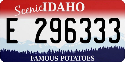 ID license plate E296333
