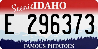 ID license plate E296373