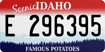 ID license plate E296395
