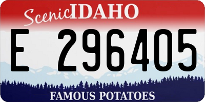 ID license plate E296405