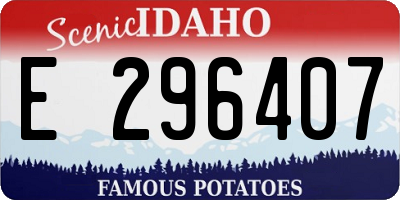 ID license plate E296407