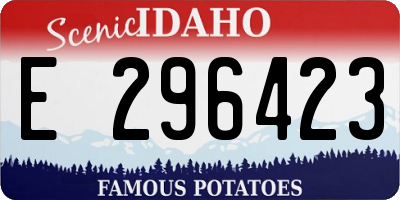 ID license plate E296423