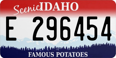 ID license plate E296454
