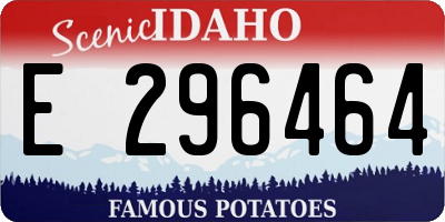 ID license plate E296464