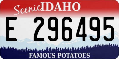 ID license plate E296495