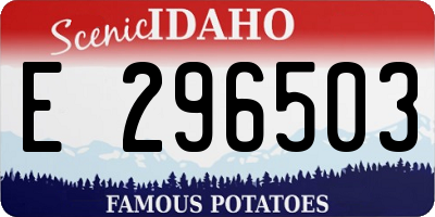 ID license plate E296503
