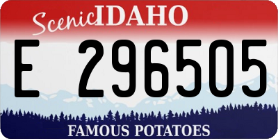 ID license plate E296505