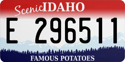 ID license plate E296511