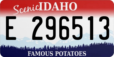 ID license plate E296513