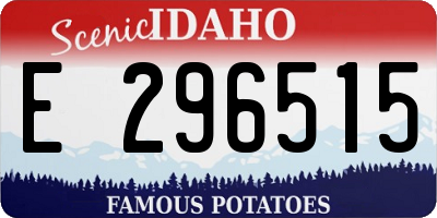 ID license plate E296515