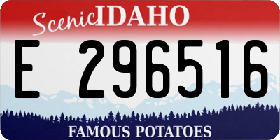 ID license plate E296516