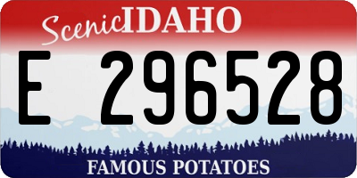 ID license plate E296528