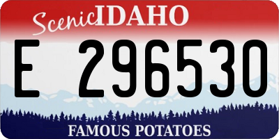 ID license plate E296530
