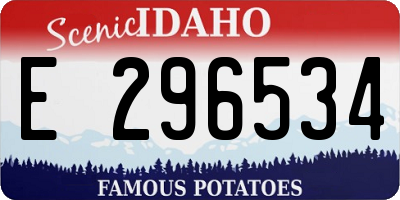 ID license plate E296534