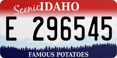 ID license plate E296545