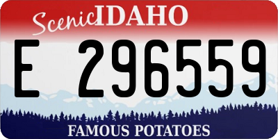 ID license plate E296559